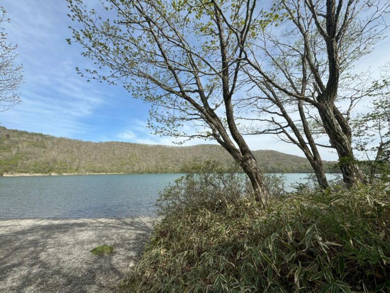A serene landscape showing a quiet mountain-ringed lake with a small beach and a slender tree standing in the foreground.